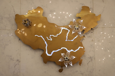 中国梦之花
